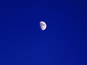 half the moon