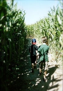 into the corn